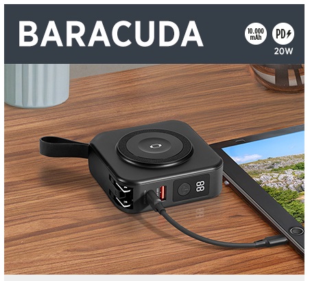 baracuda putni punjac1