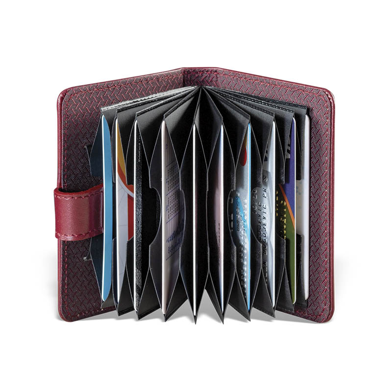 Etui Harmonika2