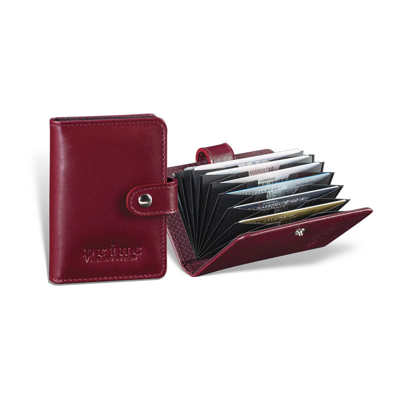 Etui Harmonika3