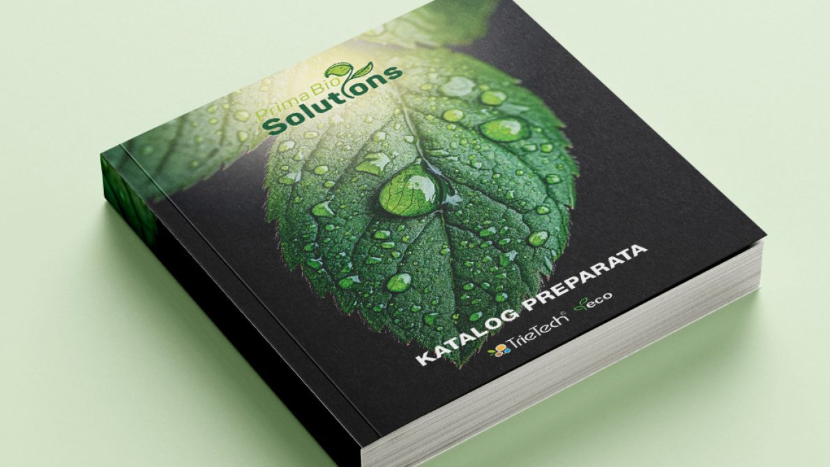 dizajn-impress-banner